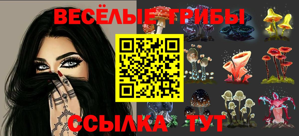 Каспийск  закладка  Вход с VPN  Псилоцибиновые грибы MAGIC MUSHROOMS 