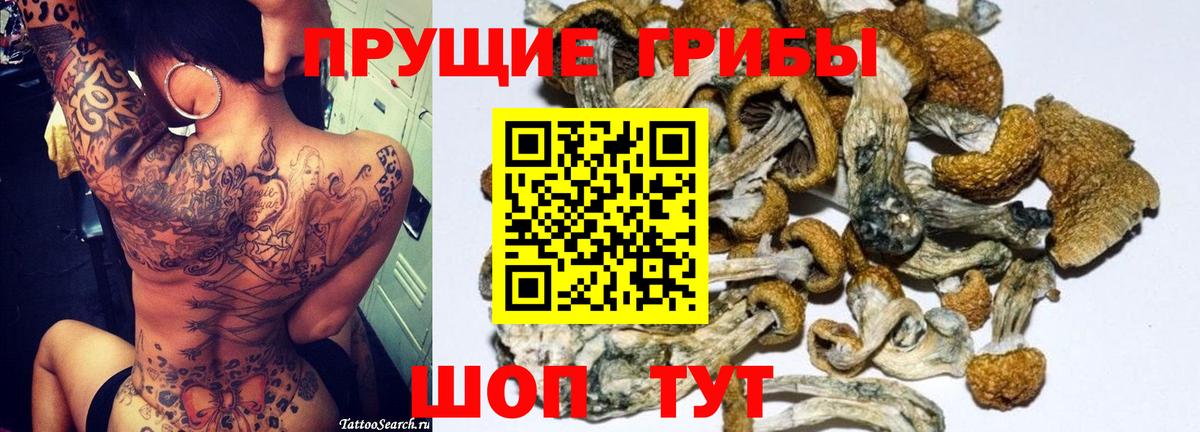 Псилоцибиновые грибы прущие грибы Каспийск
